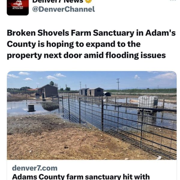 Denver-7