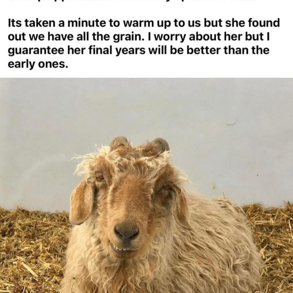 Goodbye-sweet-ethel