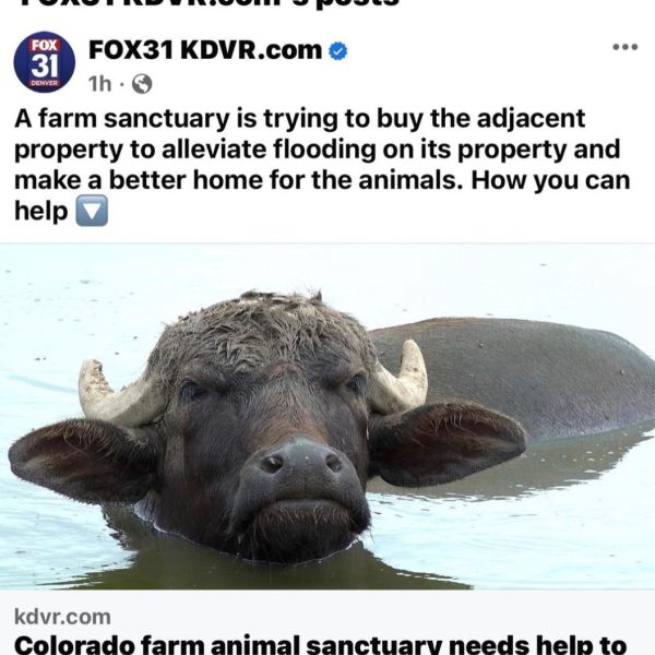fox-news-8.3